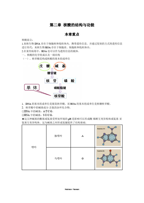 生化第二章核酸的结构和功能