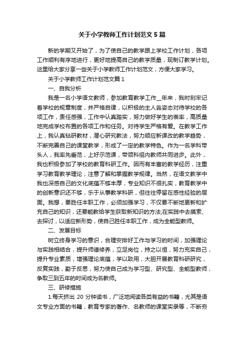 关于小学教师工作计划范文5篇