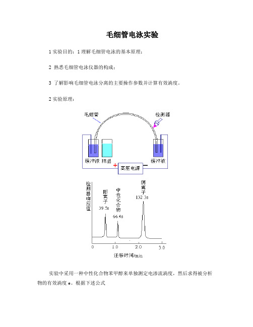 毛细管电泳实验