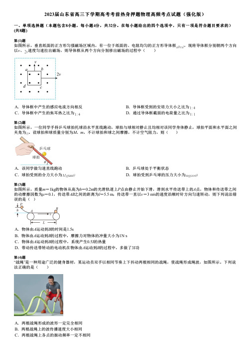 2023届山东省高三下学期高考考前热身押题物理高频考点试题(强化版)