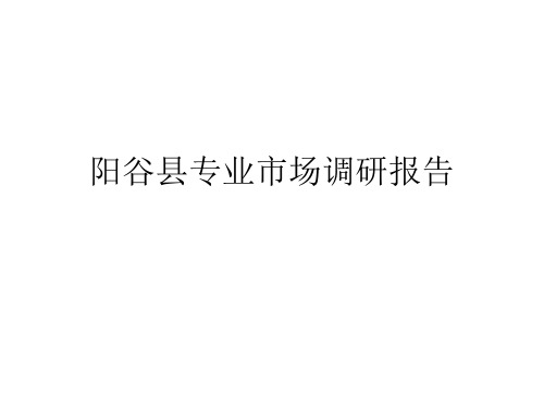 山东省聊城市阳谷县专业市场调研报告PPT课件