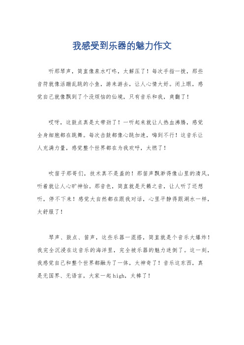 我感受到乐器的魅力作文