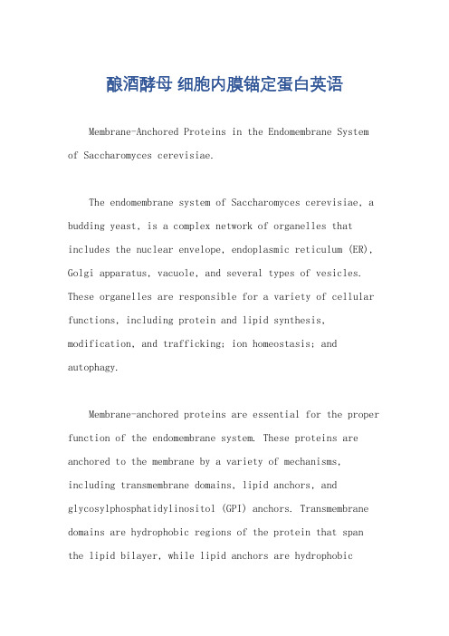酿酒酵母 细胞内膜锚定蛋白英语