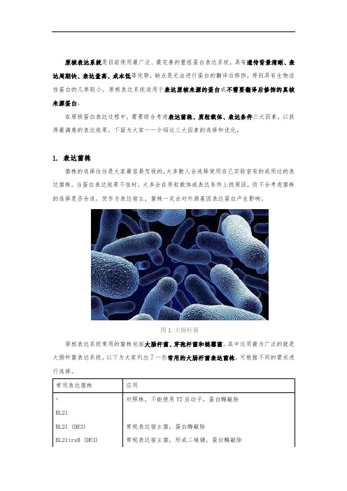 原核表达系统三大要素的选择及优化