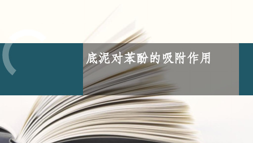 环化实验 底泥对苯酚的吸附作用ppt课件