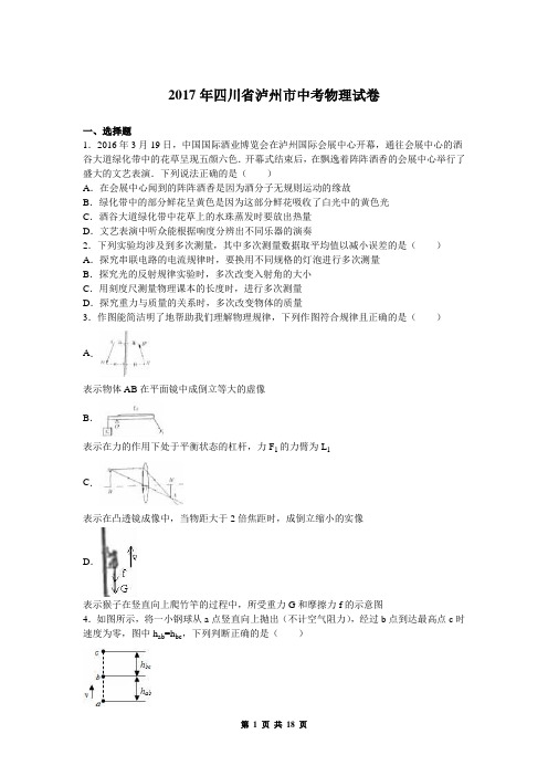 2017年四川省泸州市中考物理试卷(含答案)