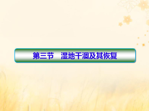 2019_2020学年高中地理第4章生态环境保护4_3湿地干涸及其恢复课件新人教版选修6