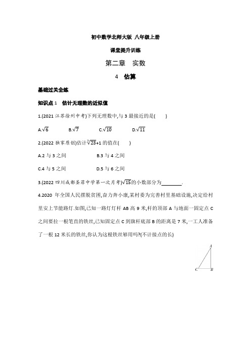 北师大版八年级数学上册2 4估算  课堂提升训练 (含答案)