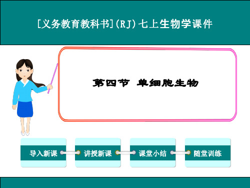 最新人教版七年级上册生物学《单细胞生物》优秀课件