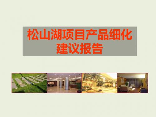 东莞松山湖地产的项目产品细化建议的报告