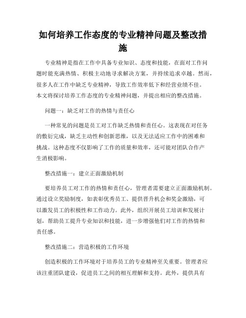 如何培养工作态度的专业精神问题及整改措施