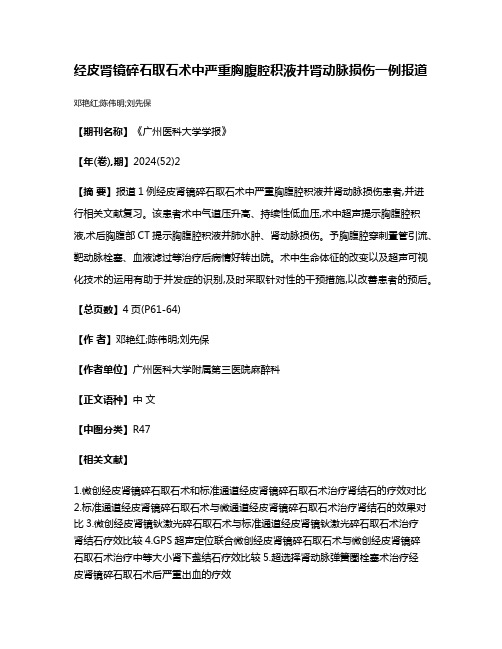 经皮肾镜碎石取石术中严重胸腹腔积液并肾动脉损伤一例报道