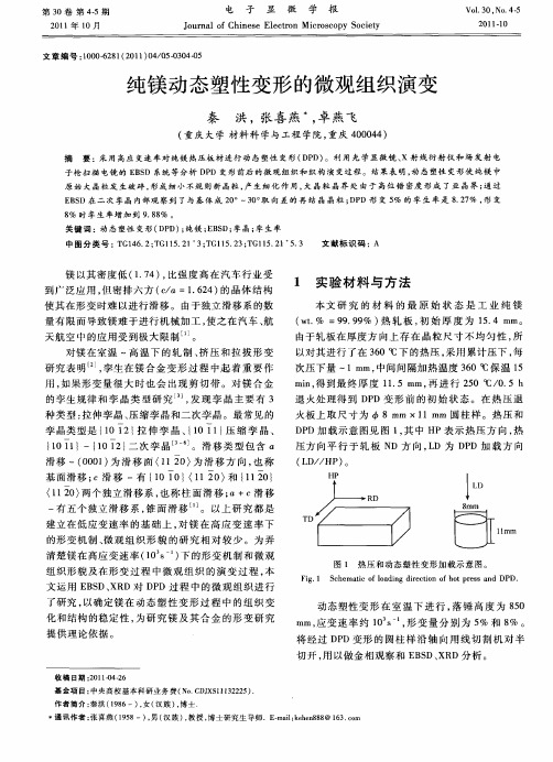 纯镁动态塑性变形的微观组织演变