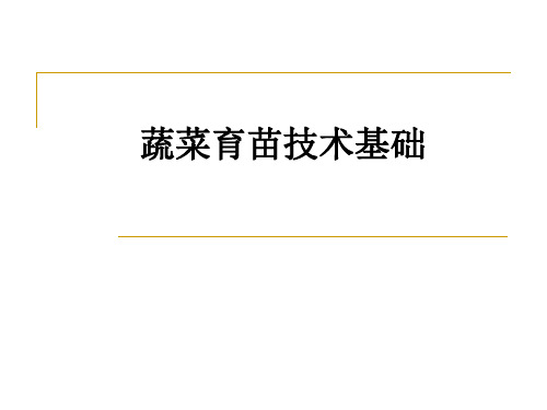 蔬菜育苗技术基础