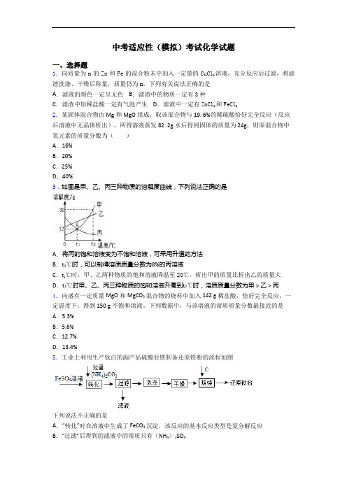 中考适应性(模拟)考试化学试题