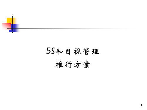 2019年5S和目视管理推行方案