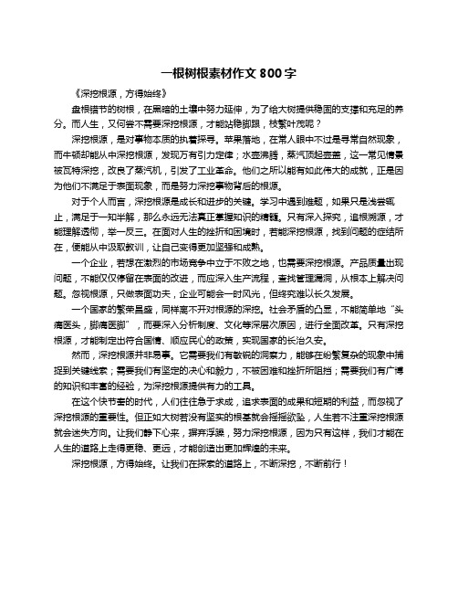 一根树根素材作文800字