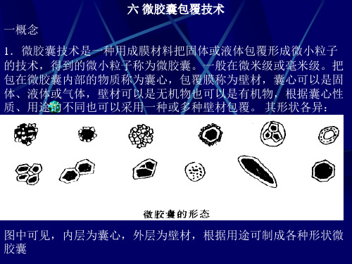 第三讲 3 微胶囊包覆技术