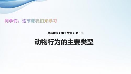 苏教版初中八年级生物上册课件《动物行为的主要类型》(苏教)