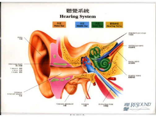 化脓性中耳炎及其并发症新课件