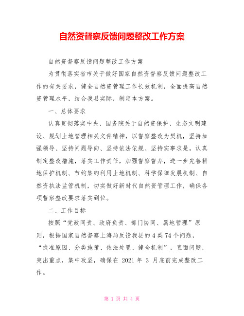 自然资源督察反馈问题整改工作方案