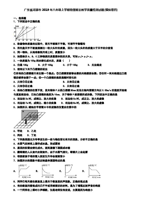 广东省河源市2019年八年级上学期物理期末教学质量检测试题(模拟卷四)