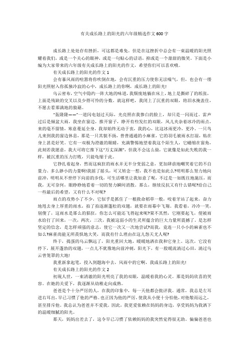 有关成长路上的阳光的六年级精选作文600字