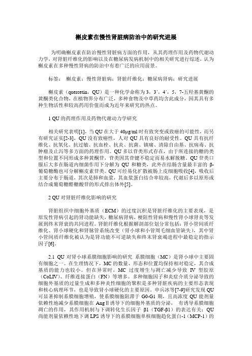 槲皮素在慢性肾脏病防治中的研究进展