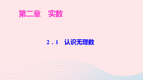 八年级数学上册第二章实数1认识无理数ppt作业课件新版北师大版