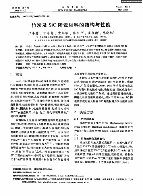 竹炭及SiC陶瓷材料的结构与性能