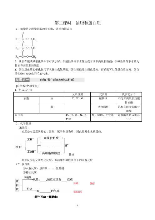 油脂和蛋白质