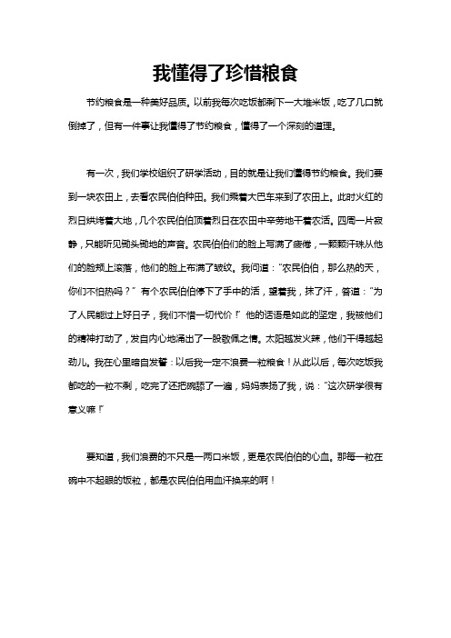 我懂得了____为题目作文460字