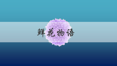 鲜花PPT