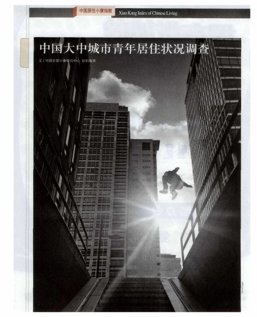 中国大中城市青年居住状况调查