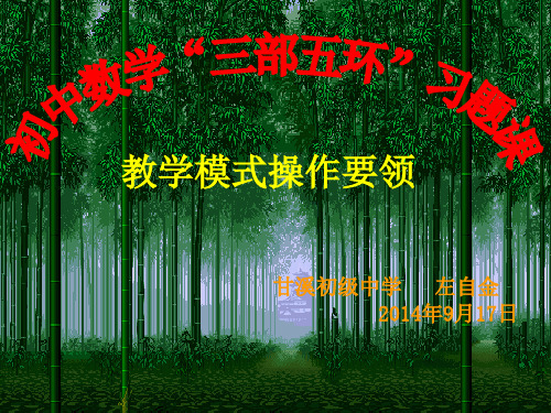 习题课教学模式操作要领交流材料