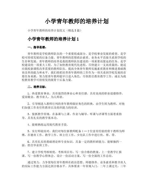 小学青年教师的培养计划