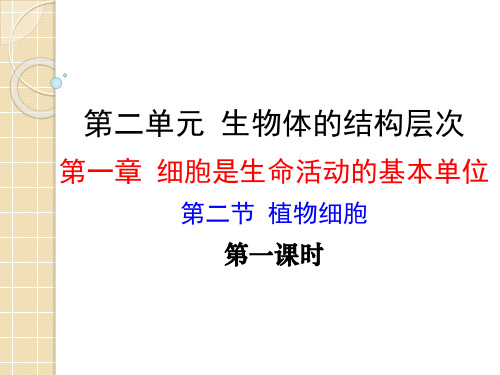 人教版七年级上册 2.1.2 植物细胞课件