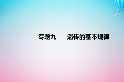 2024届高考生物学业水平测试复习专题九遗传的基本规律课件