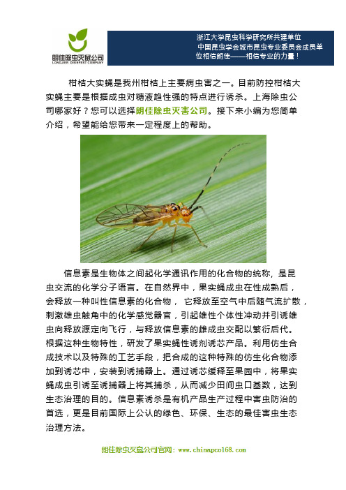 上海除虫公司