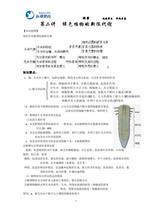 二、植物的新陈代谢