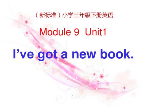 I've got a new book 优秀ppt课件5