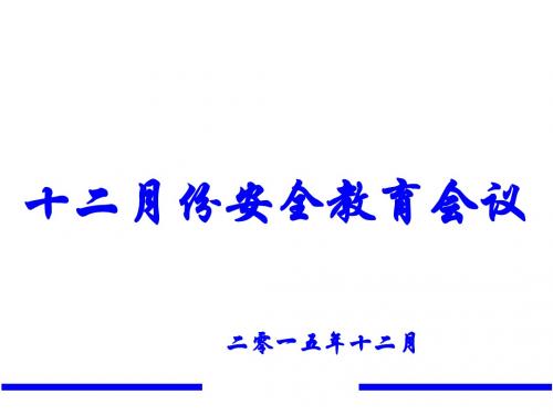 15年11月安全会议