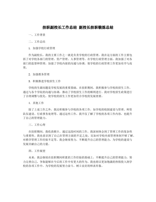 挂职副校长工作总结 副校长挂职锻炼总结