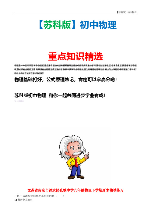 苏科版初中物理九年级下册下学期周末辅导练习14 习题精选汇总