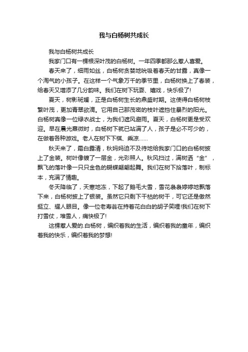 我与白杨树共成长