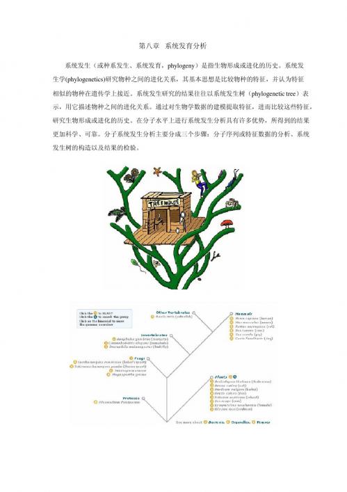 生物信息学 第八章 系统发育分析