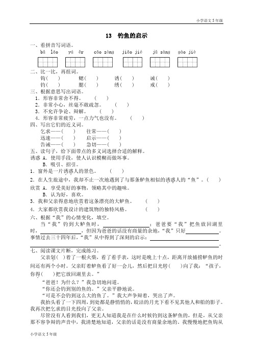 同步练习-人教版小学5年级上册试题-13 钓鱼的启示