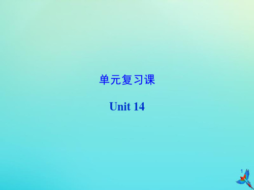 九年英语全册UNIT14IREMEMBERMEETINGALLOFYOUINGRADE复习课件人教新