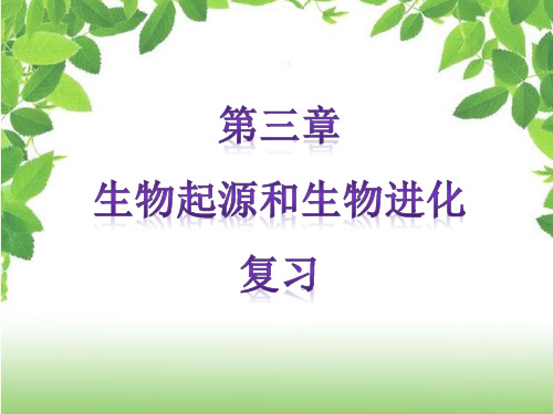 第七单元 生命起源和生物进化 复习-人教版八年级下册生物课件