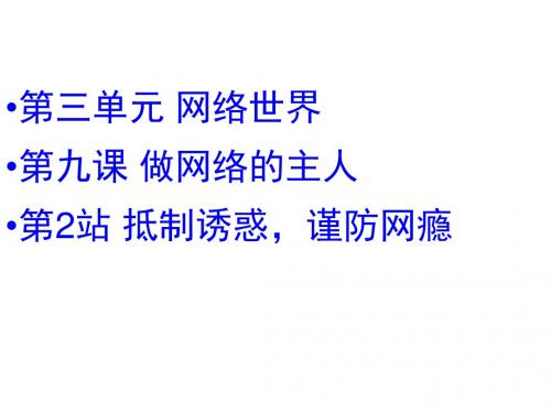 八年级道德与法治上册第三单元网络世界第九课做网络的